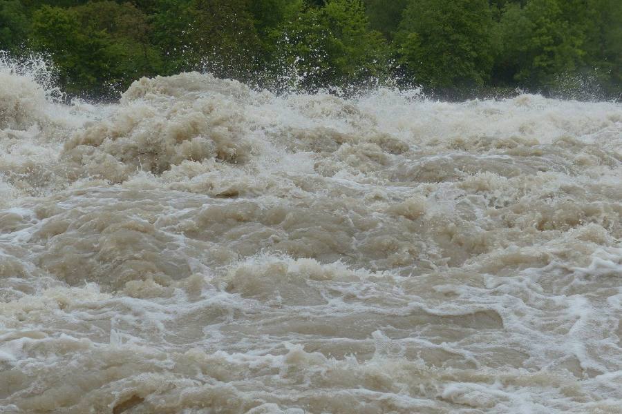 Flood Dream Meaning