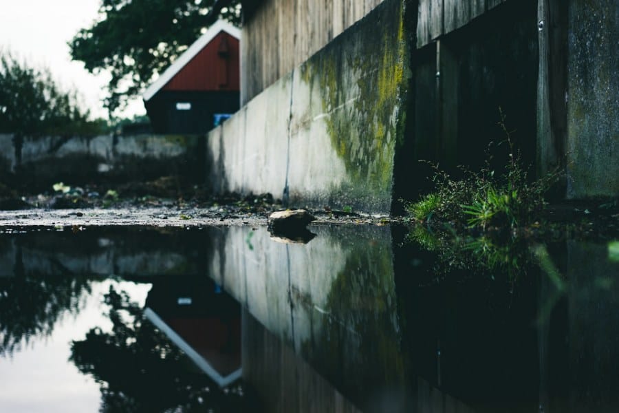 Dirty Water Dreams Scenarios