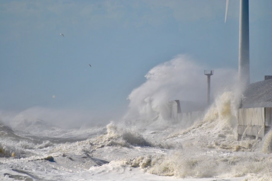 Common Tsunami Dreams