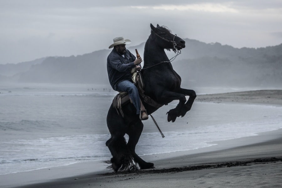 Specific Black Horse Dream Meanings