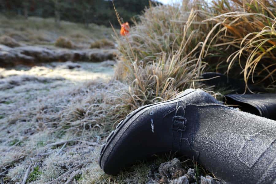 losing shoes in dream