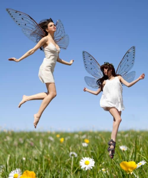 Common Scenarios of Fairy in Dreams
