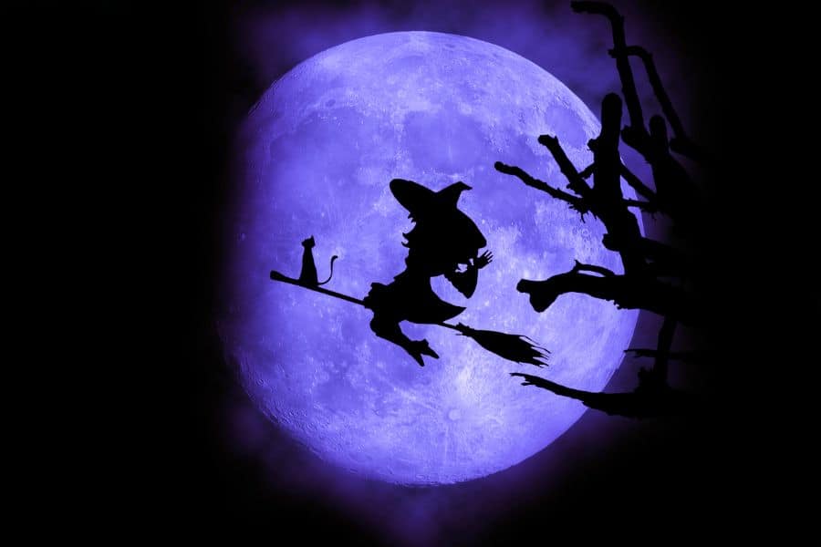 Dream Of Fighting a Witch
