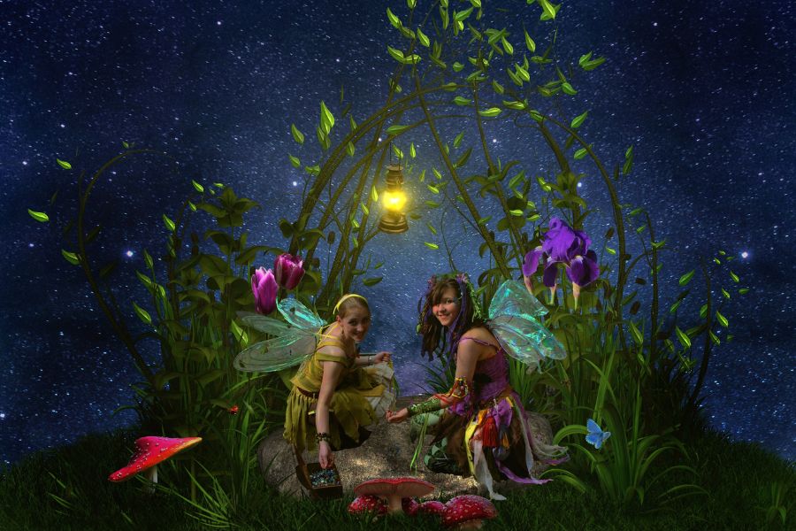 dream of fairies
