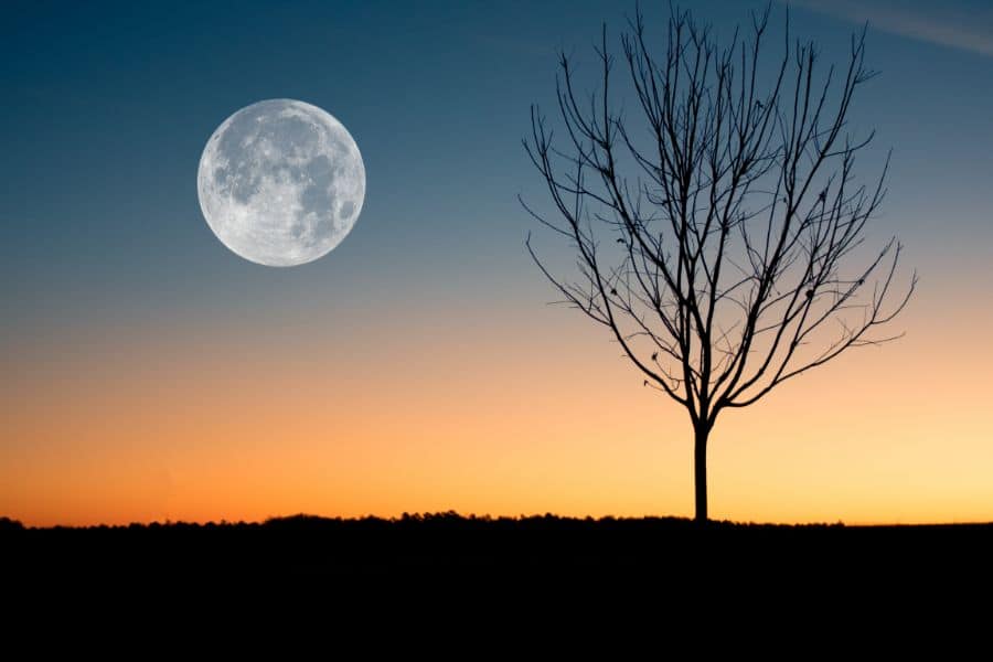 Cultural Significance Of The Moon