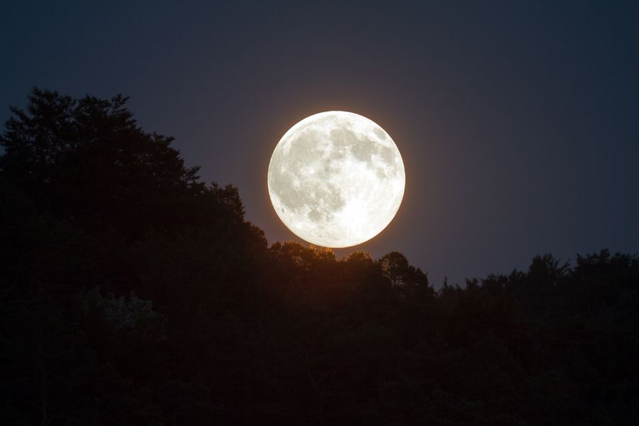dream of a full moon