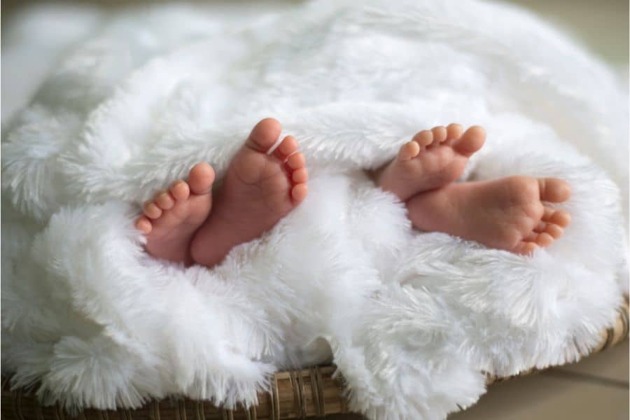 dream about having twins