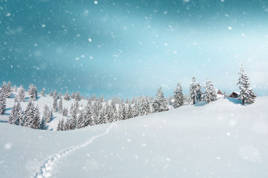 dreams about snow