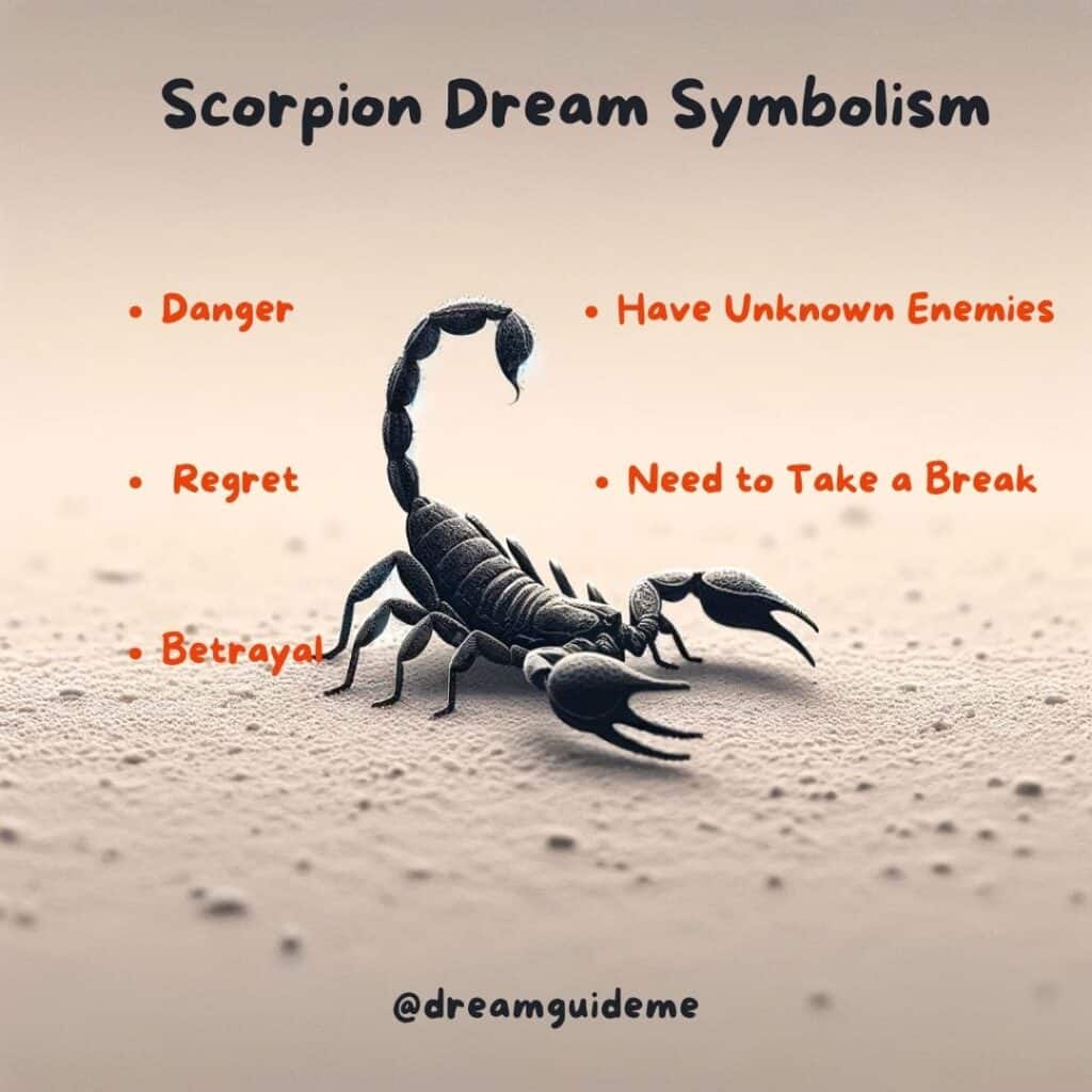 Scorpion Dream Meaning and Symbolism
