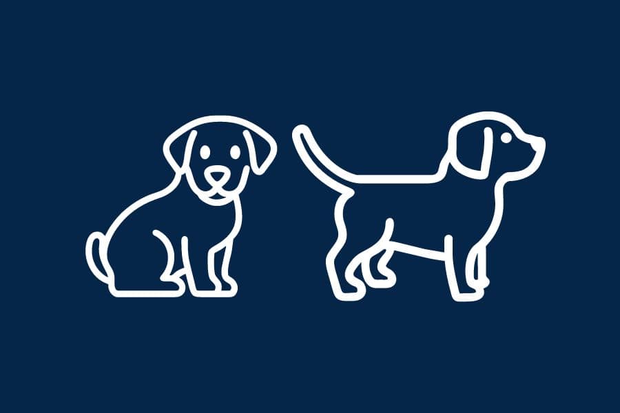 Puppies