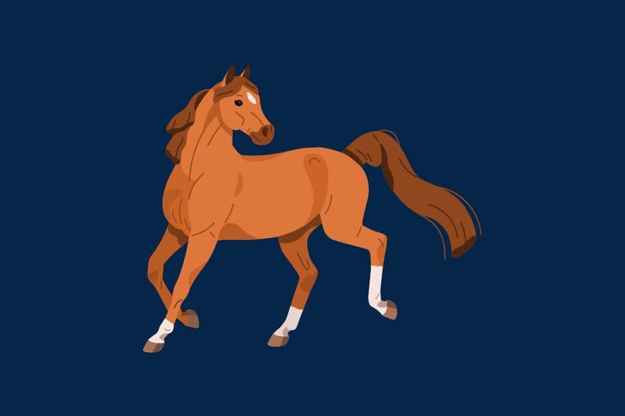 brwon horse